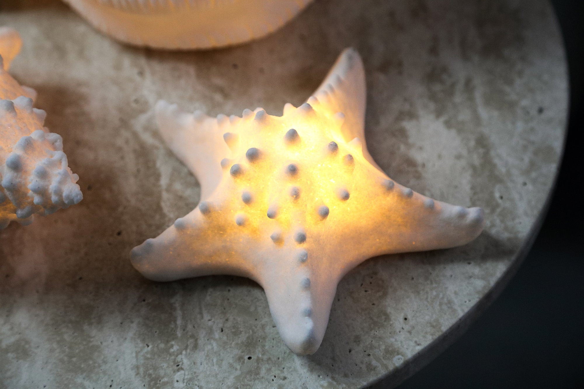 Graeme Lampes LED en poly — Sea Star Shaped Led Lamp - Blanc