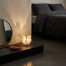 Photo lifestyle 725093