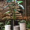 Pot Deliahe — Ciment — Set de 3 — Gris