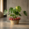 Fruitsy Bol en céramique