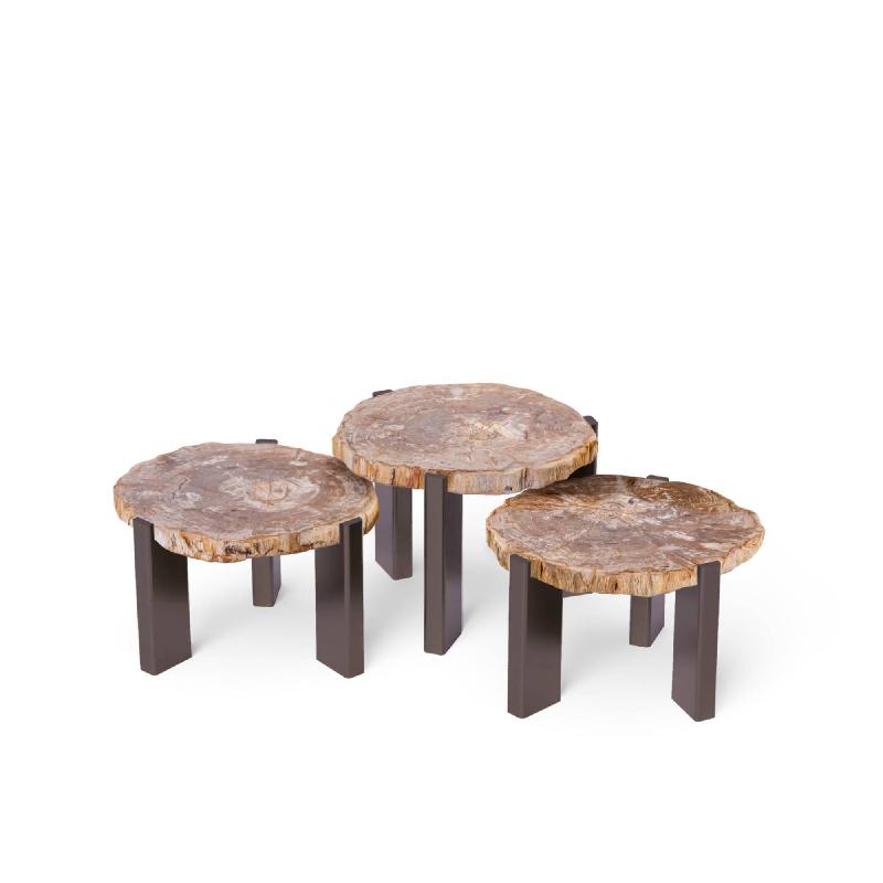 Rudi Natural petrified wood coffeetable nickel SV3