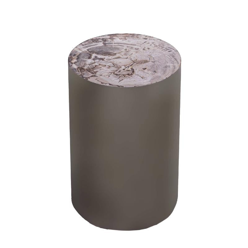Rillix Natural petrified wood sidetable nickel rnd