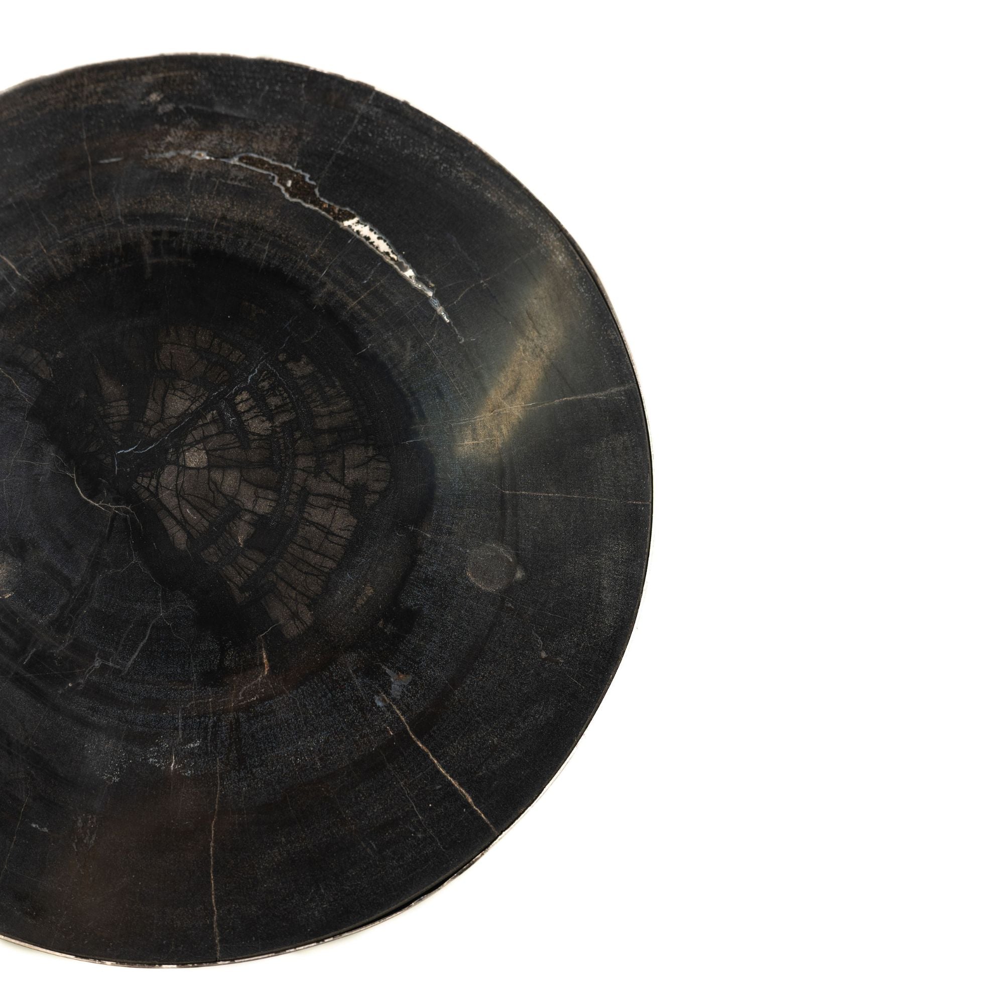 Rillix Black petrified wood sidetable nickel round - Photo 2