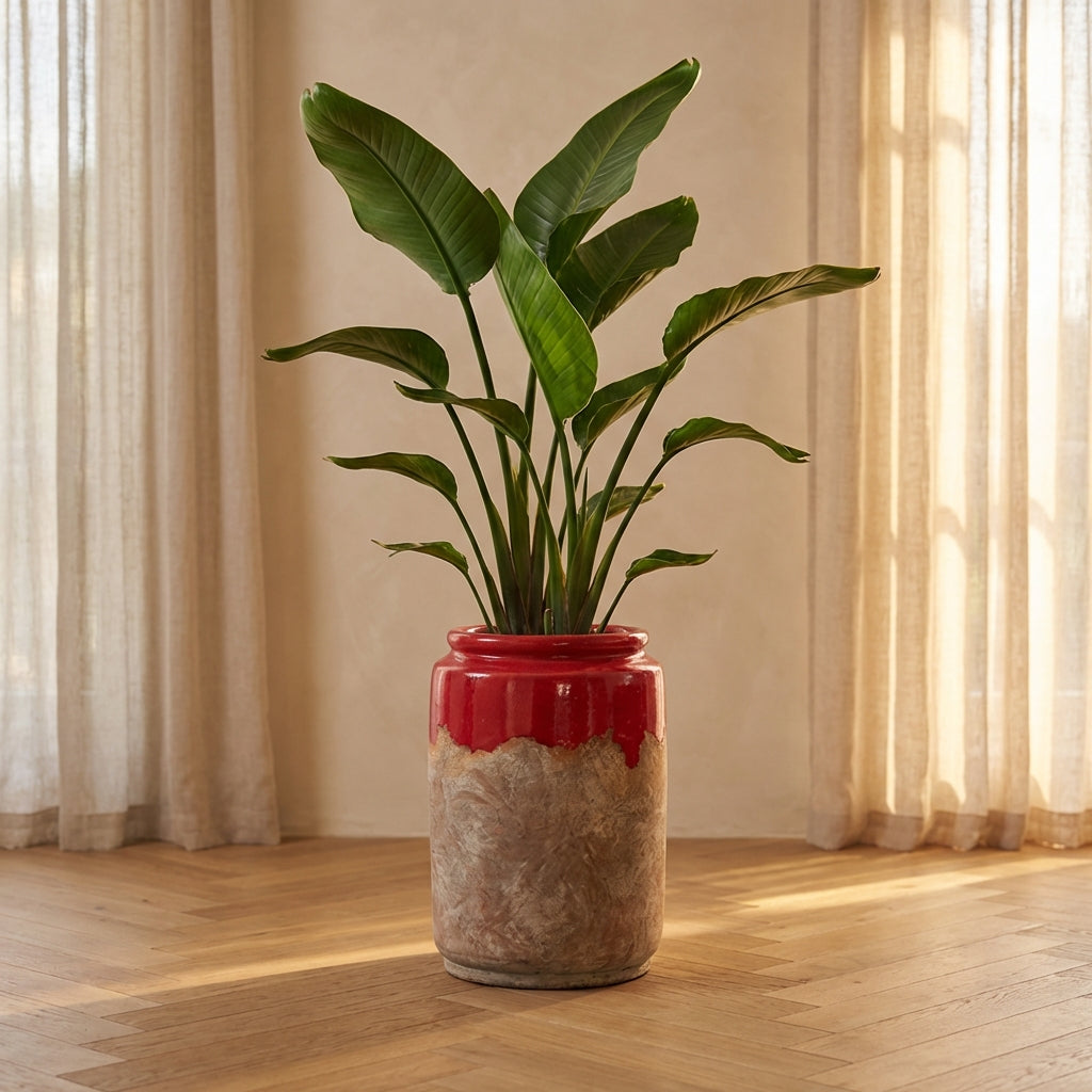 Breffni Pot en céramique - Rouge