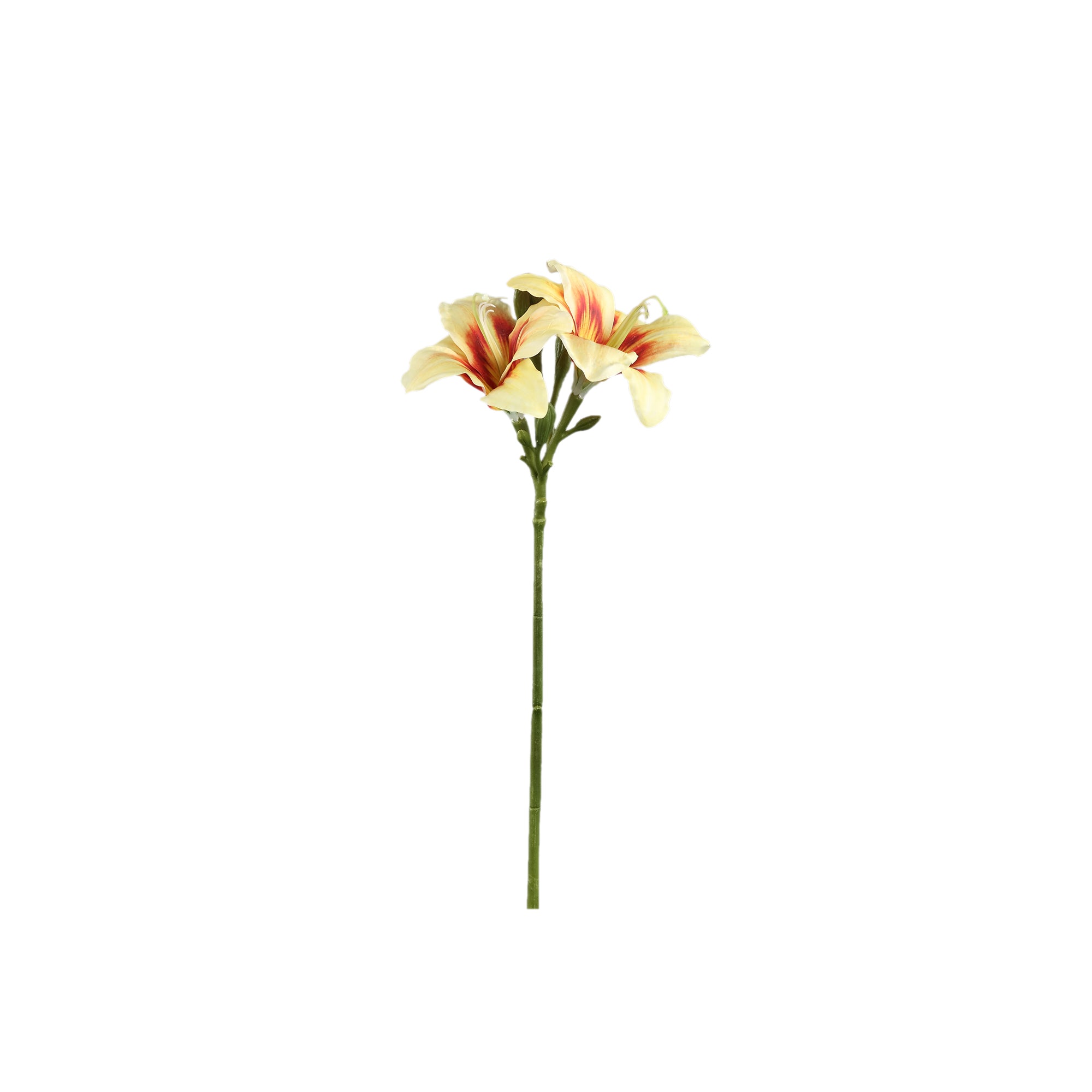 Amaryllis Flower Yellow amaryllis spray Jaune — Fleur artificielle — Fleur artificielle design premium | Häus