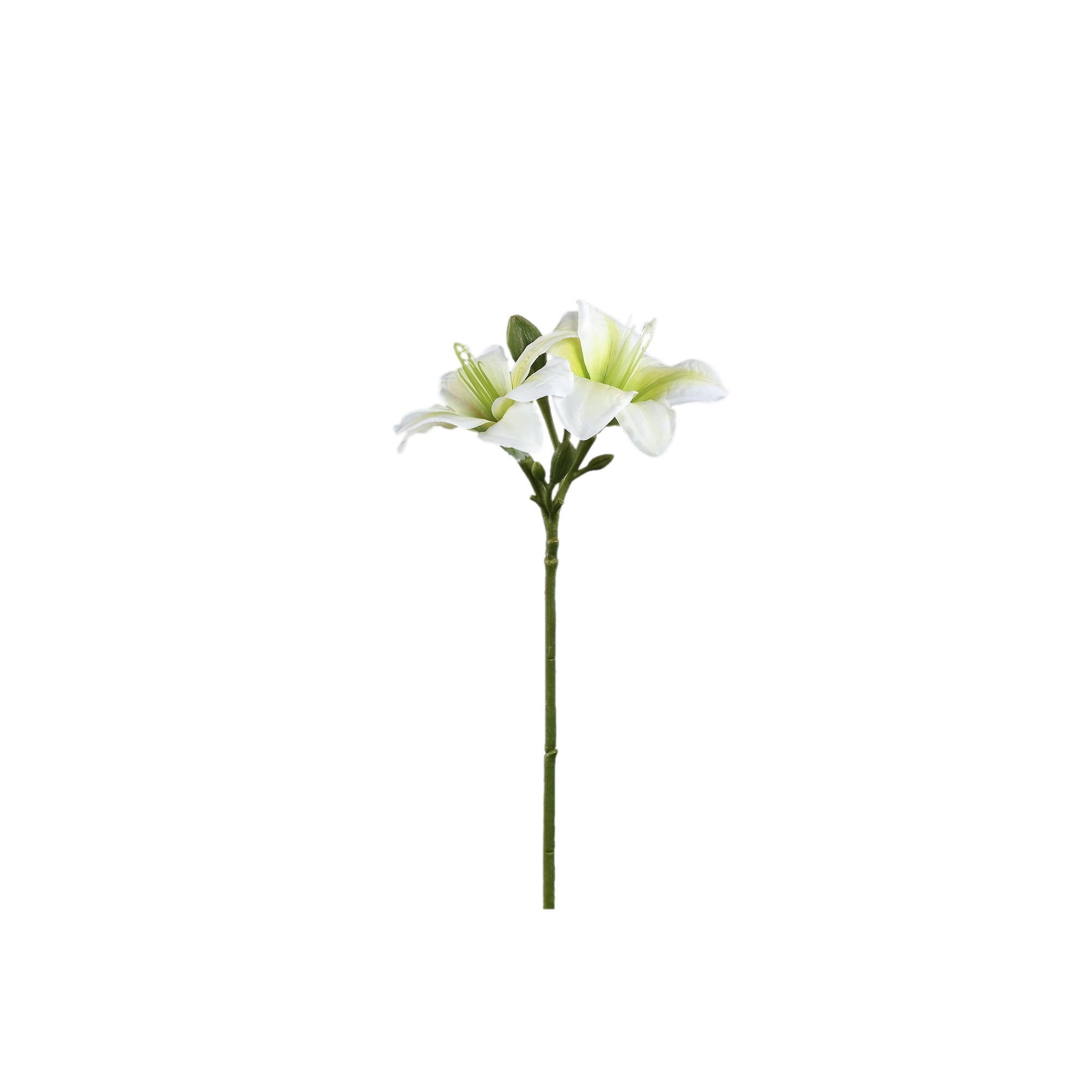 Amaryllis Flower White amaryllis spray Blanc — Fleur artificielle — Fleur artificielle design premium | Häus