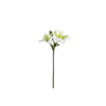 Amaryllis Flower White amaryllis spray Blanc — Fleur artificielle — Fleur artificielle design premium | Häus