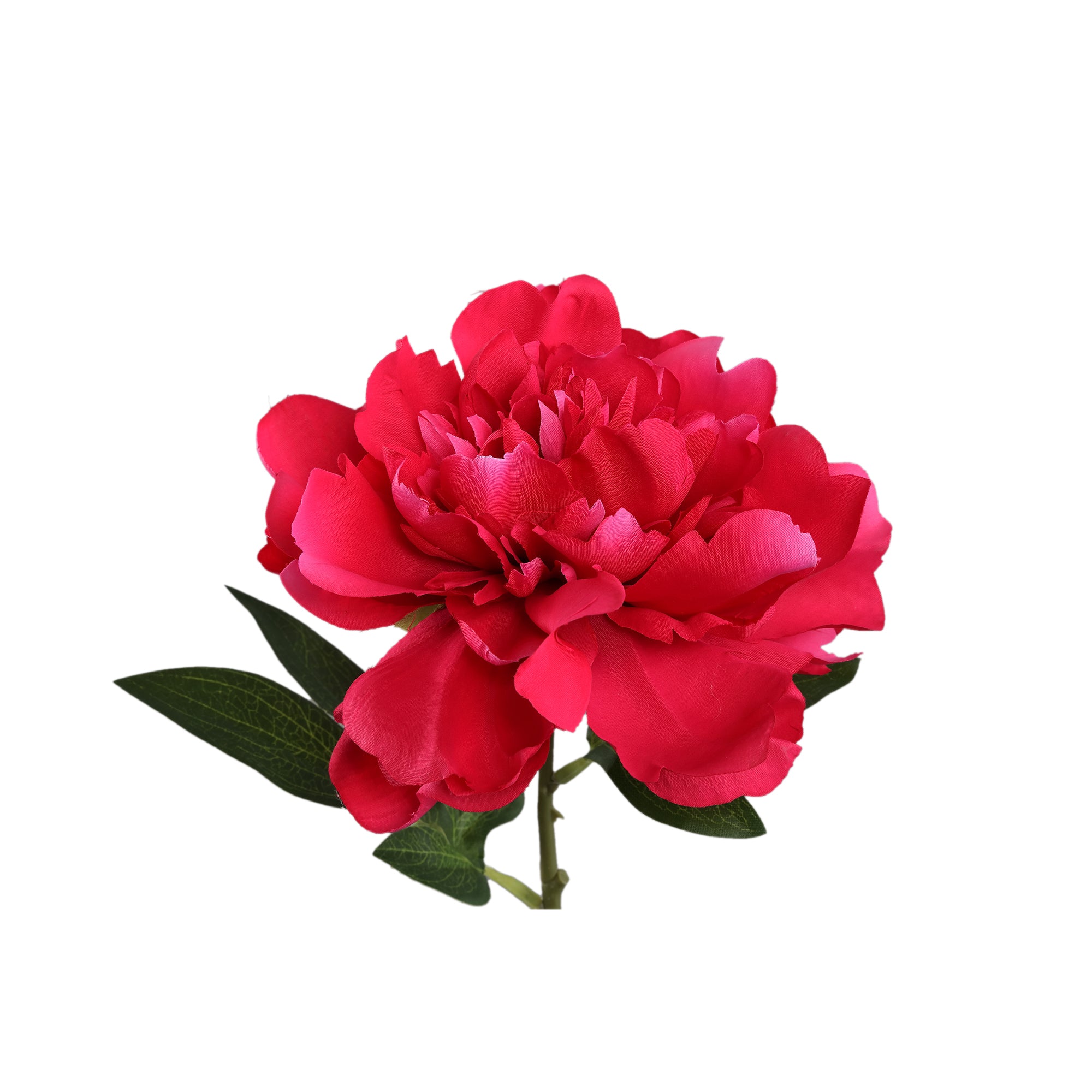 Peony Flower Magnolia pink peony stem short Rouge — Fleur artificielle — vue 3 | Häus