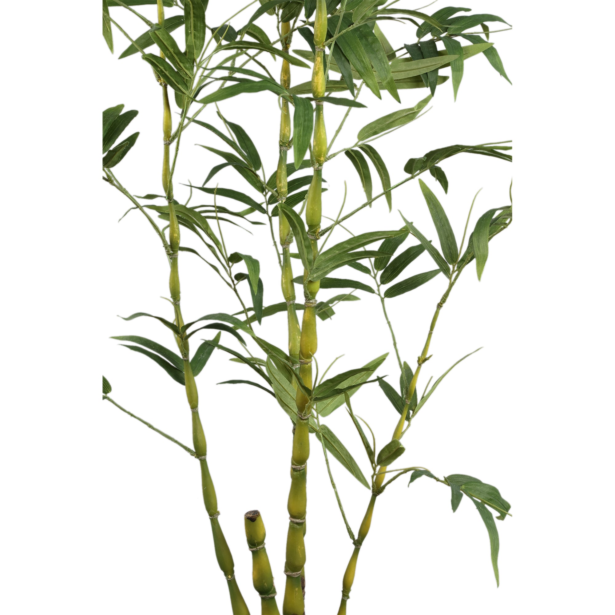 Tree Green bamboo tree in pot Vert — Plante artificielle — vue 3 | Häus