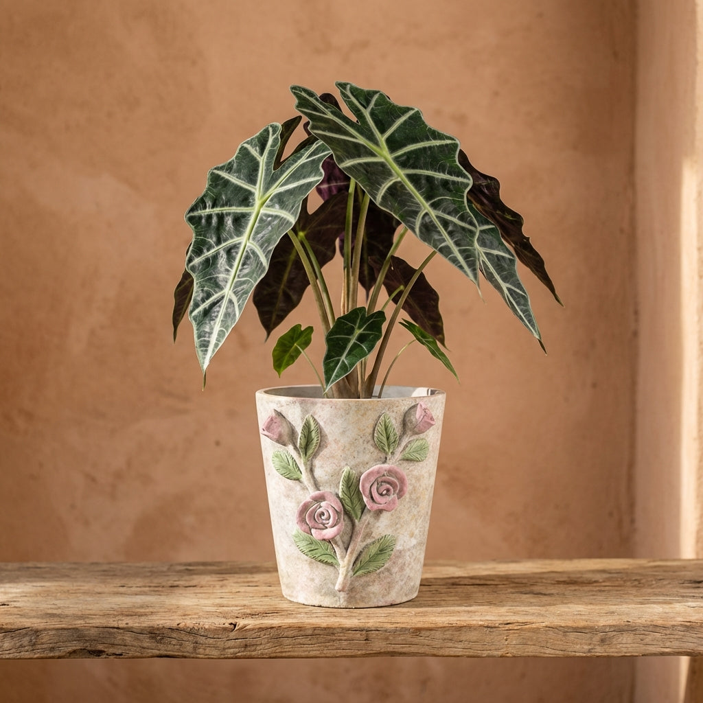 Annastasia Pot en ciment - L (20x20x20 cm)
