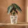 Pot Annastasia — Ciment — L
