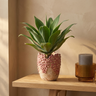 Pot Jamesina — Ciment — Photo lifestyle