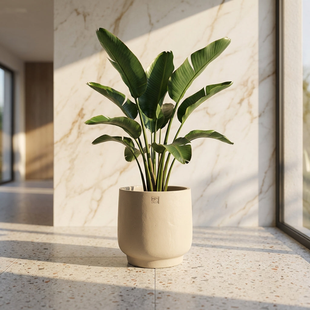 Aline Pot en ciment - Taupe