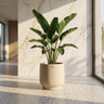 Pot Aline — Ciment — Taupe