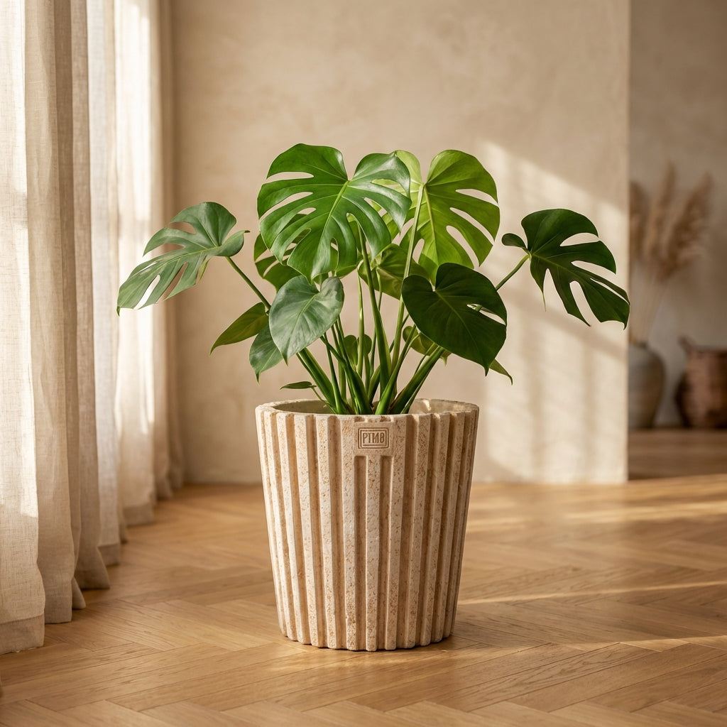 Marijus Pot en ciment - Default Title