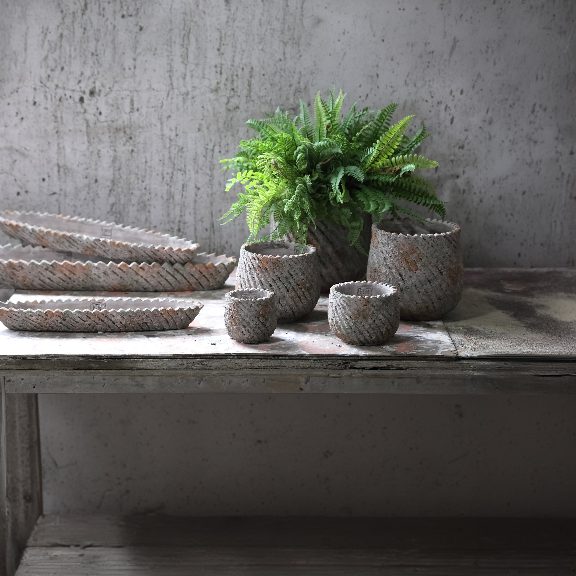 Muskaan Pot en ciment - Grey
