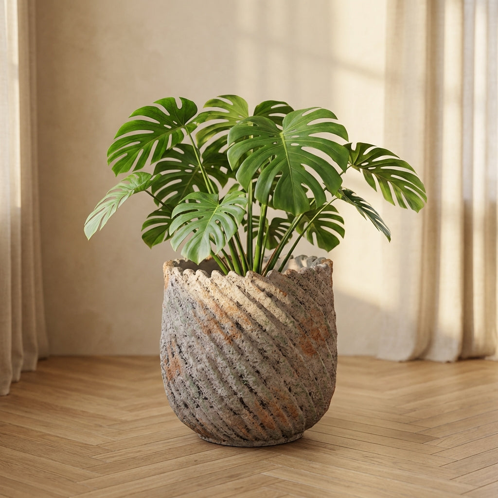 Muskaan Pot en ciment - Default Title