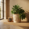 Pot Kendall — Ciment — Photo lifestyle