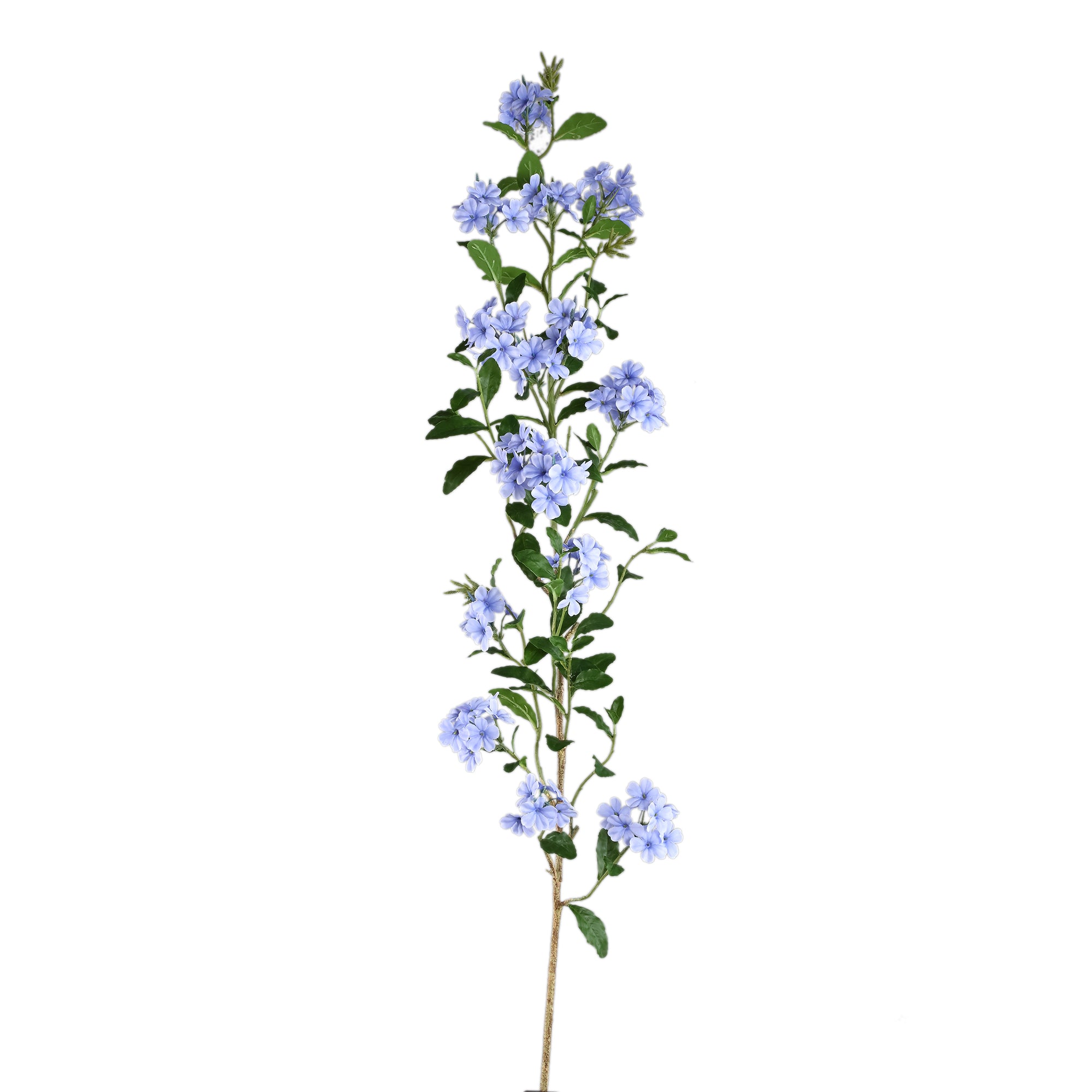 Garden Flower Blue plumbago twig with leaves Bleu — Fleur artificielle — Fleur artificielle design premium | Häus