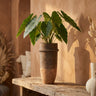 Pot Christenee — Ciment — M