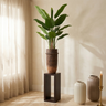Pot Christenee — Ciment — Photo lifestyle