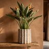 Pot Jaydean — Ciment — XL