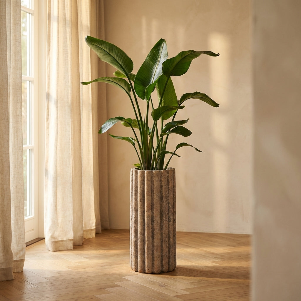 Jaydean Pot en ciment - S (20x20x45 cm)