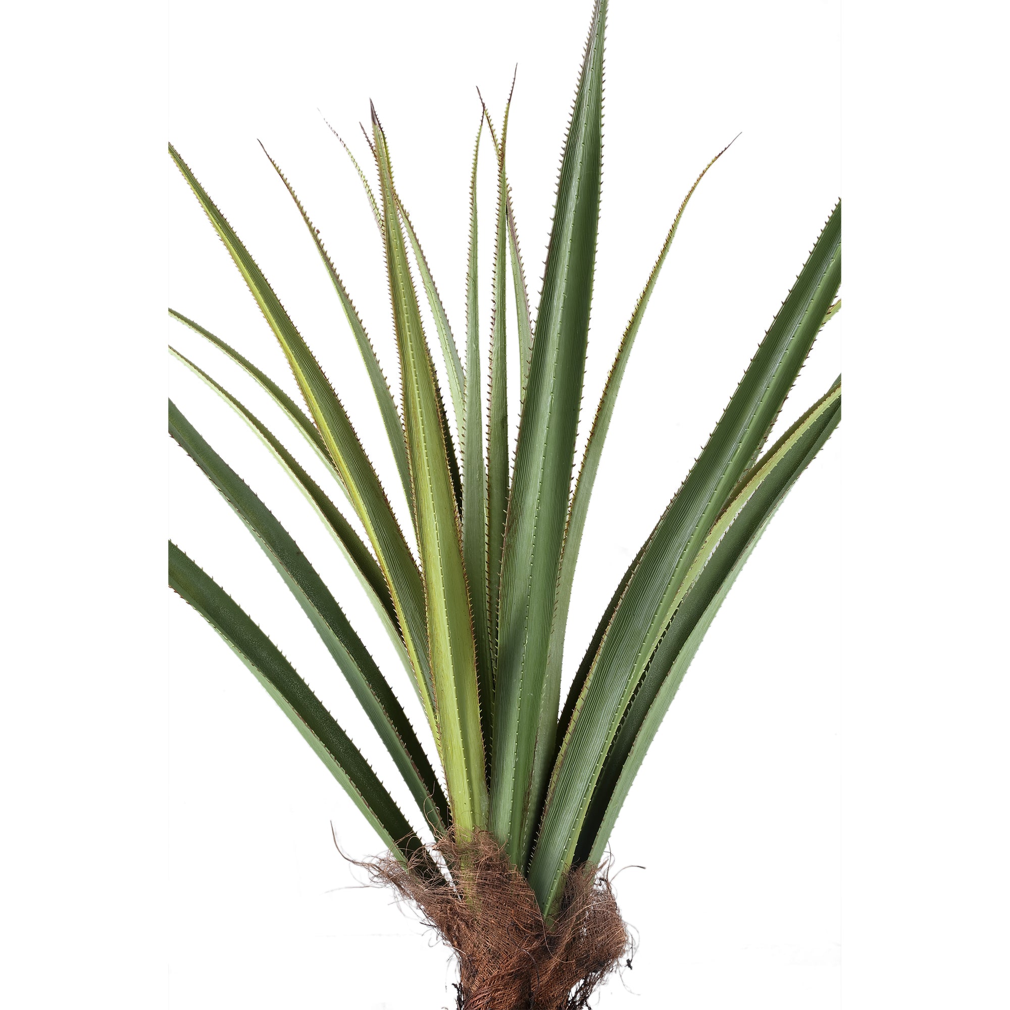 Tree Green Pandanus tree in pot 150cm Vert — Plante artificielle — vue 2 | Häus
