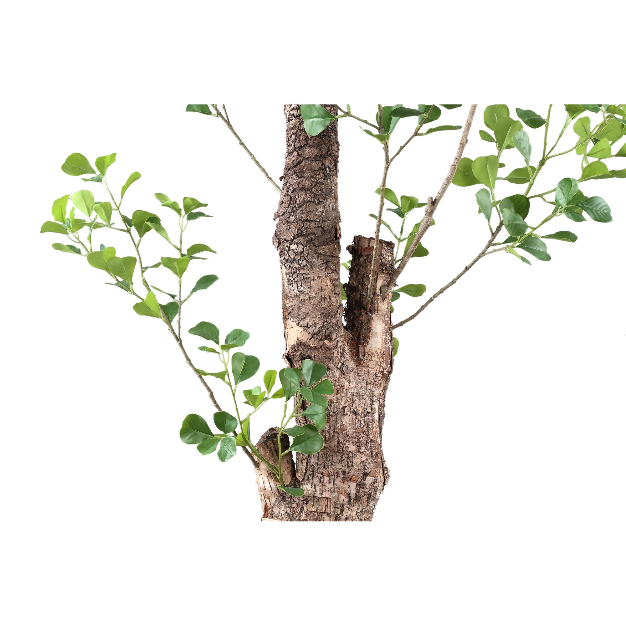 Tree Green Triangularis tree in pot 180cm Vert — Plante artificielle — vue 2 | Häus