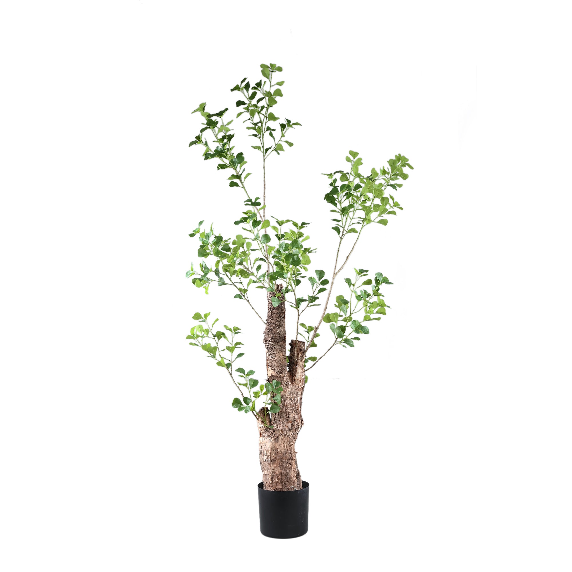 Tree Green Triangularis tree in pot 180cm Vert — Plante artificielle — Plante artificielle design premium | Häus