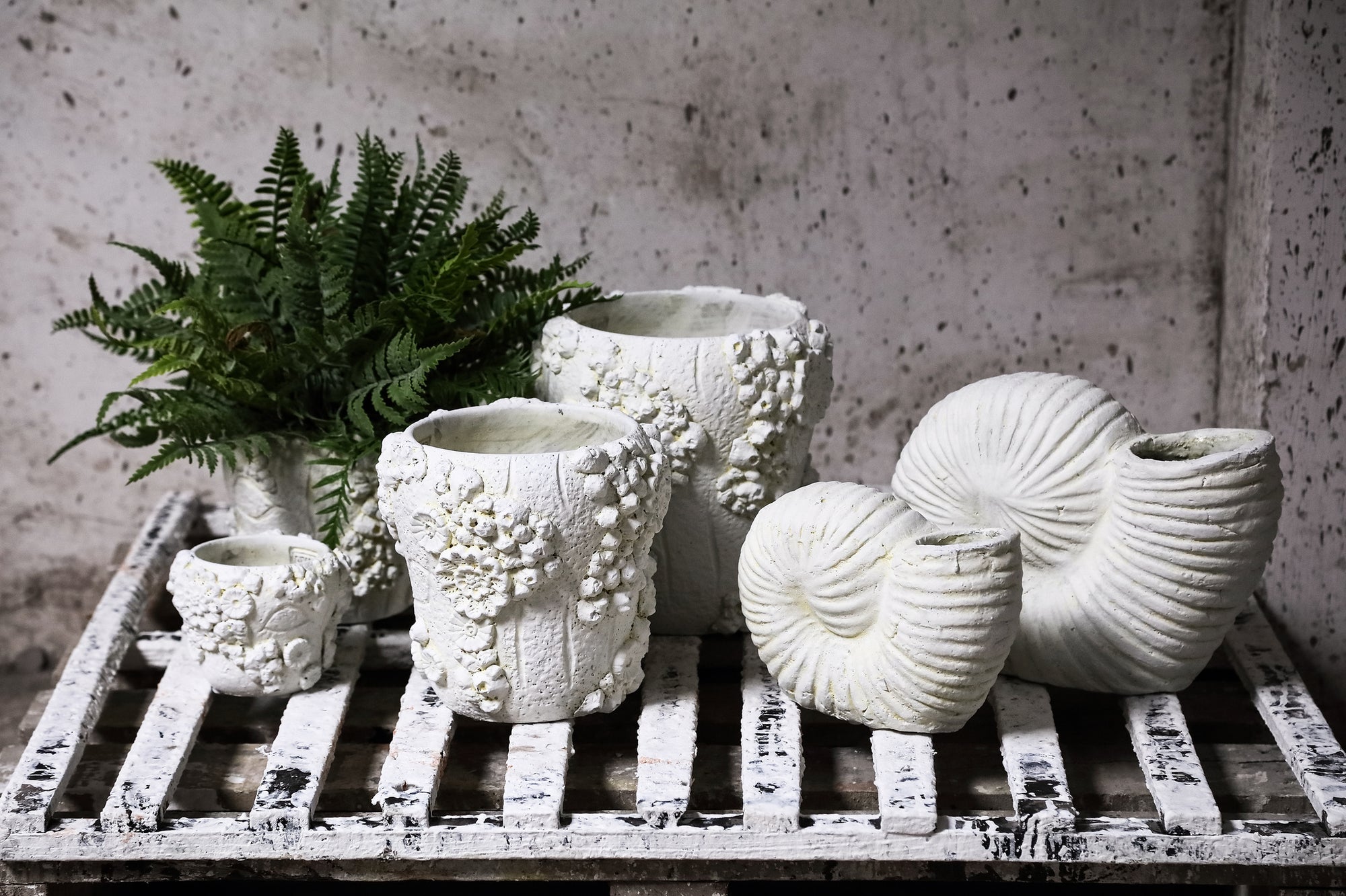 Coreal Pot en ciment - Vue 3
