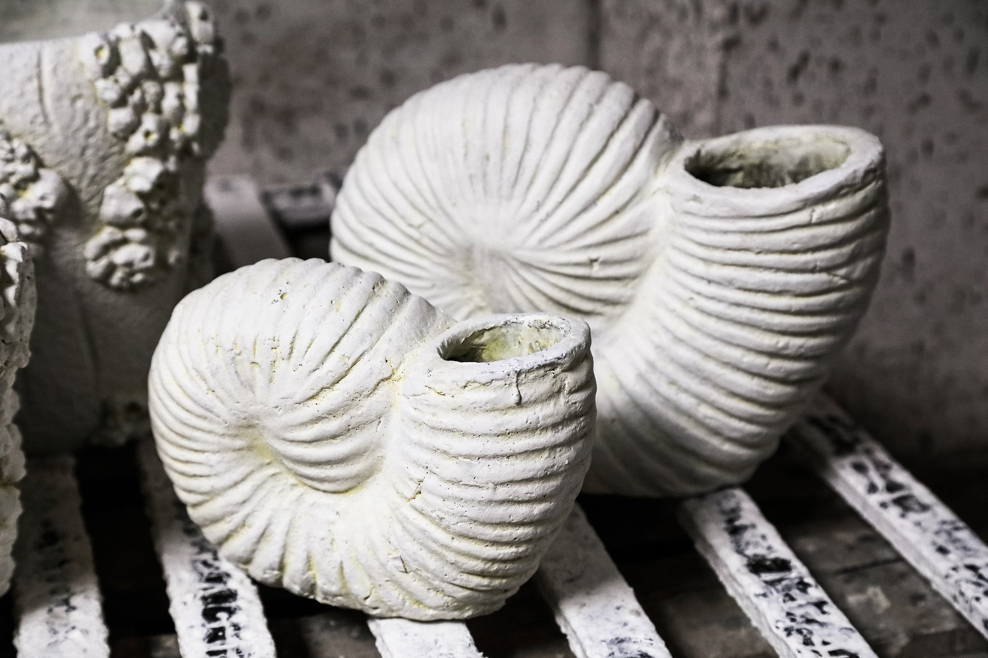 Shelly White shell shaped cement statue S