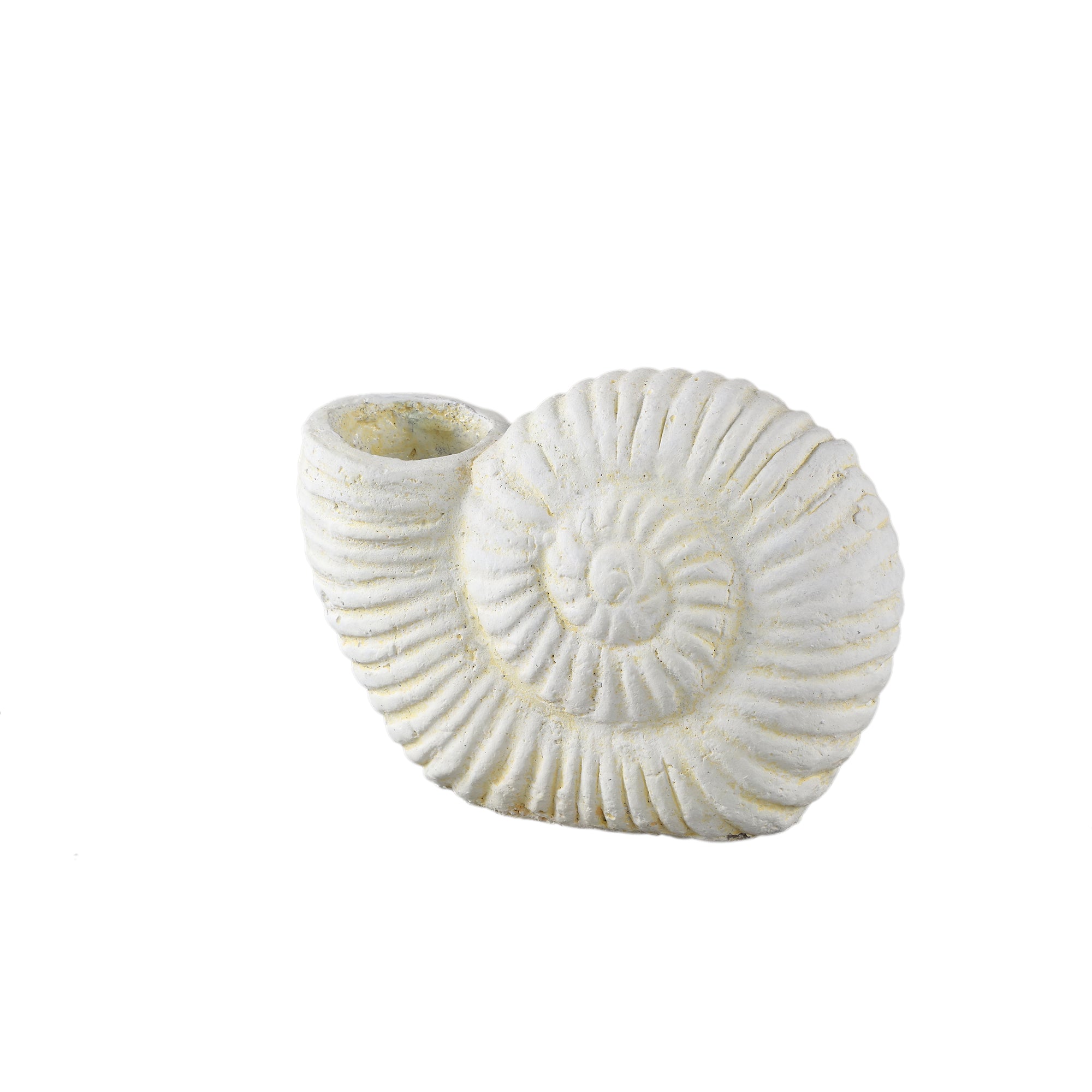Shelly White shell shaped cement statue S