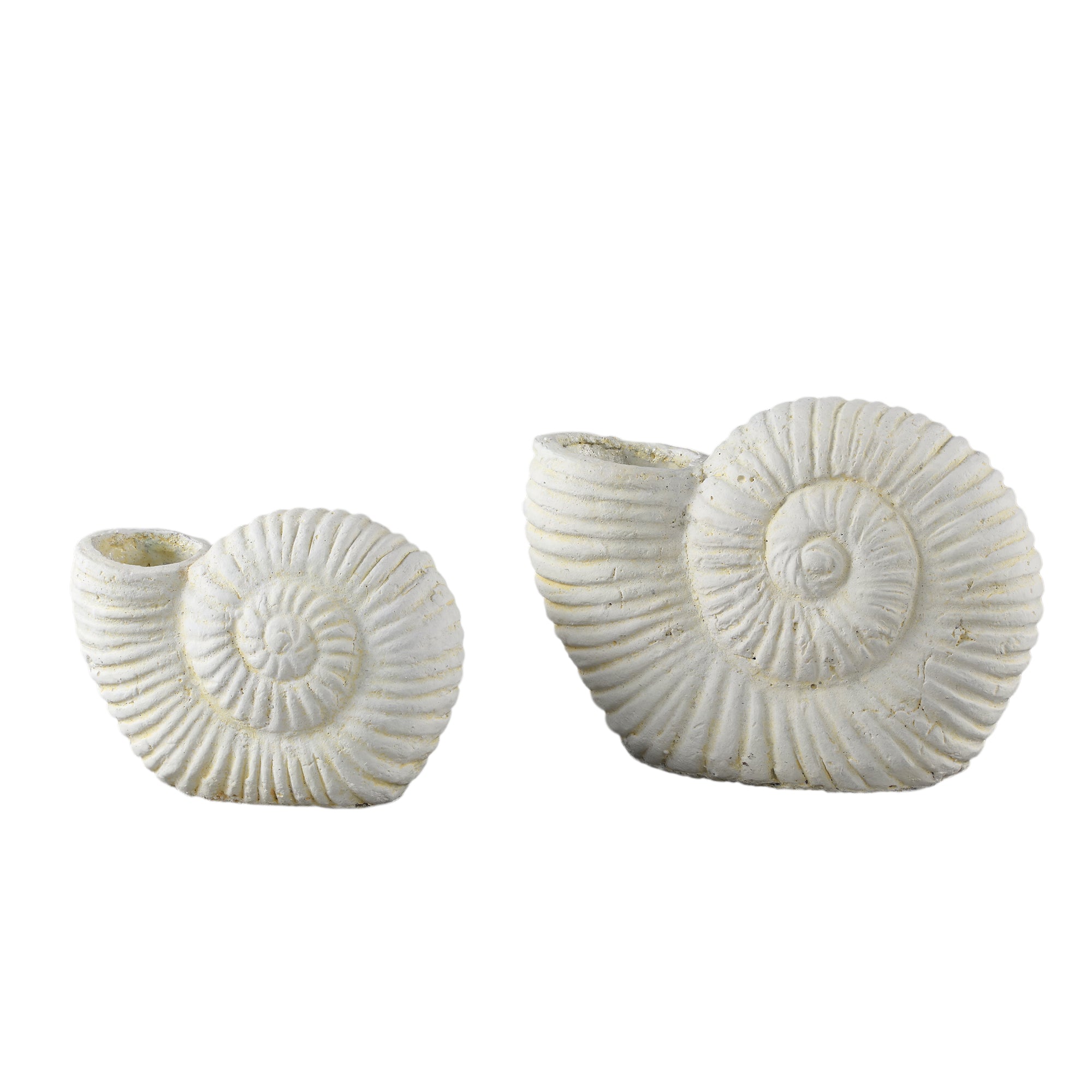 Shelly White shell shaped cement statue L
