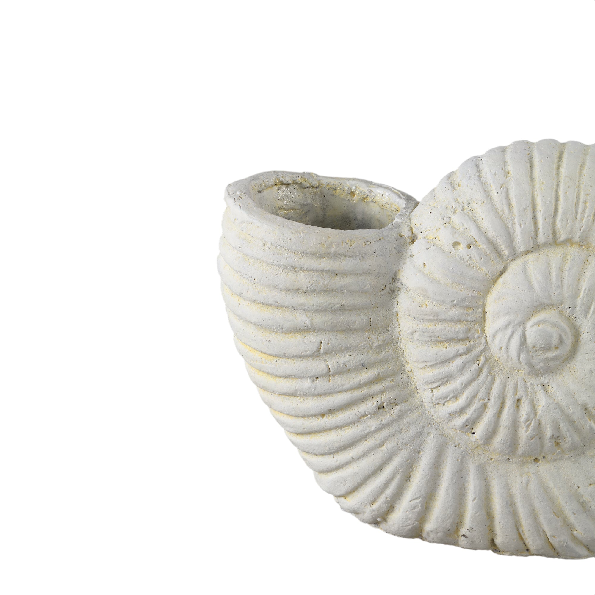 Shelly White shell shaped cement statue L