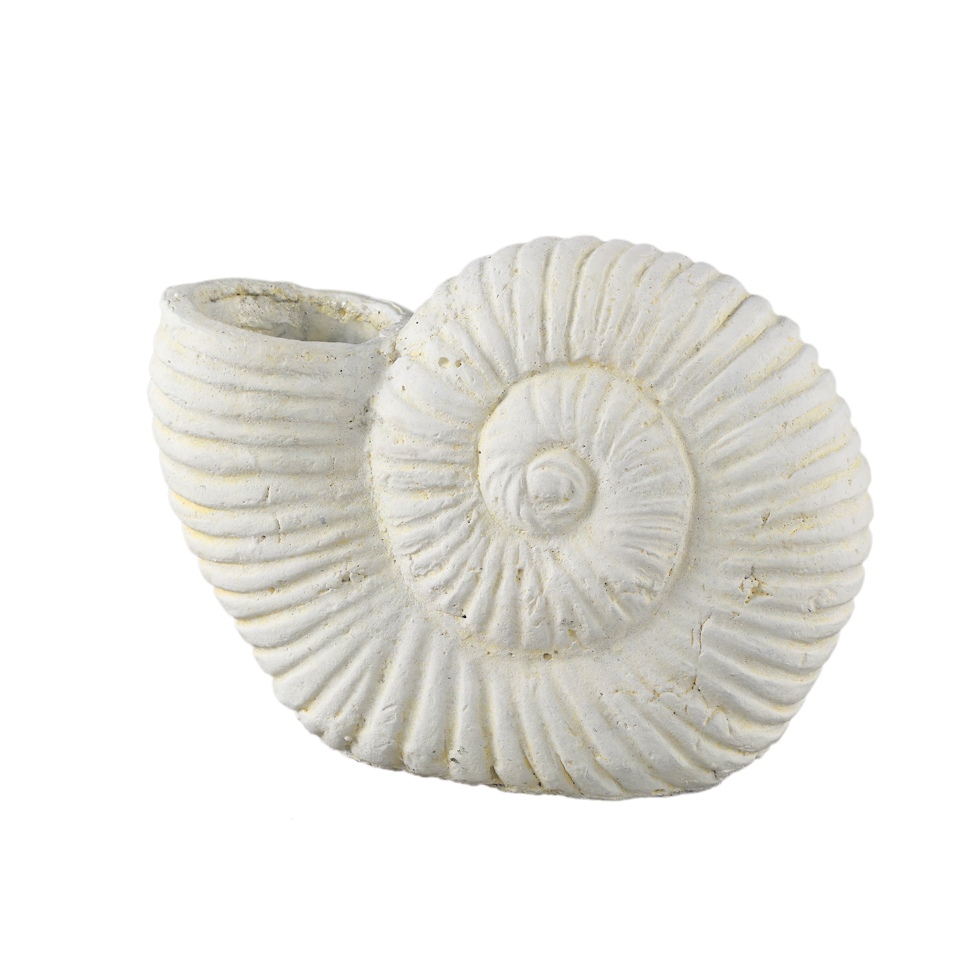 Shelly White shell shaped cement statue L