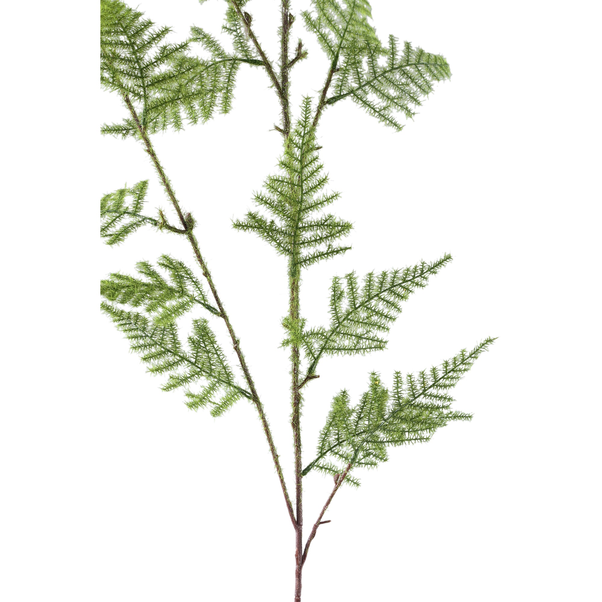 Fern Plant Green asparagus fern spray Vert — Feuille artificielle — vue 2 | Häus
