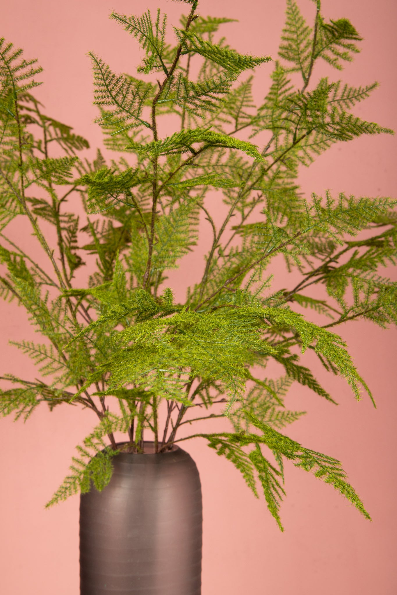 Fern Plant Green asparagus fern spray Vert — Feuille artificielle — vue 3 | Häus
