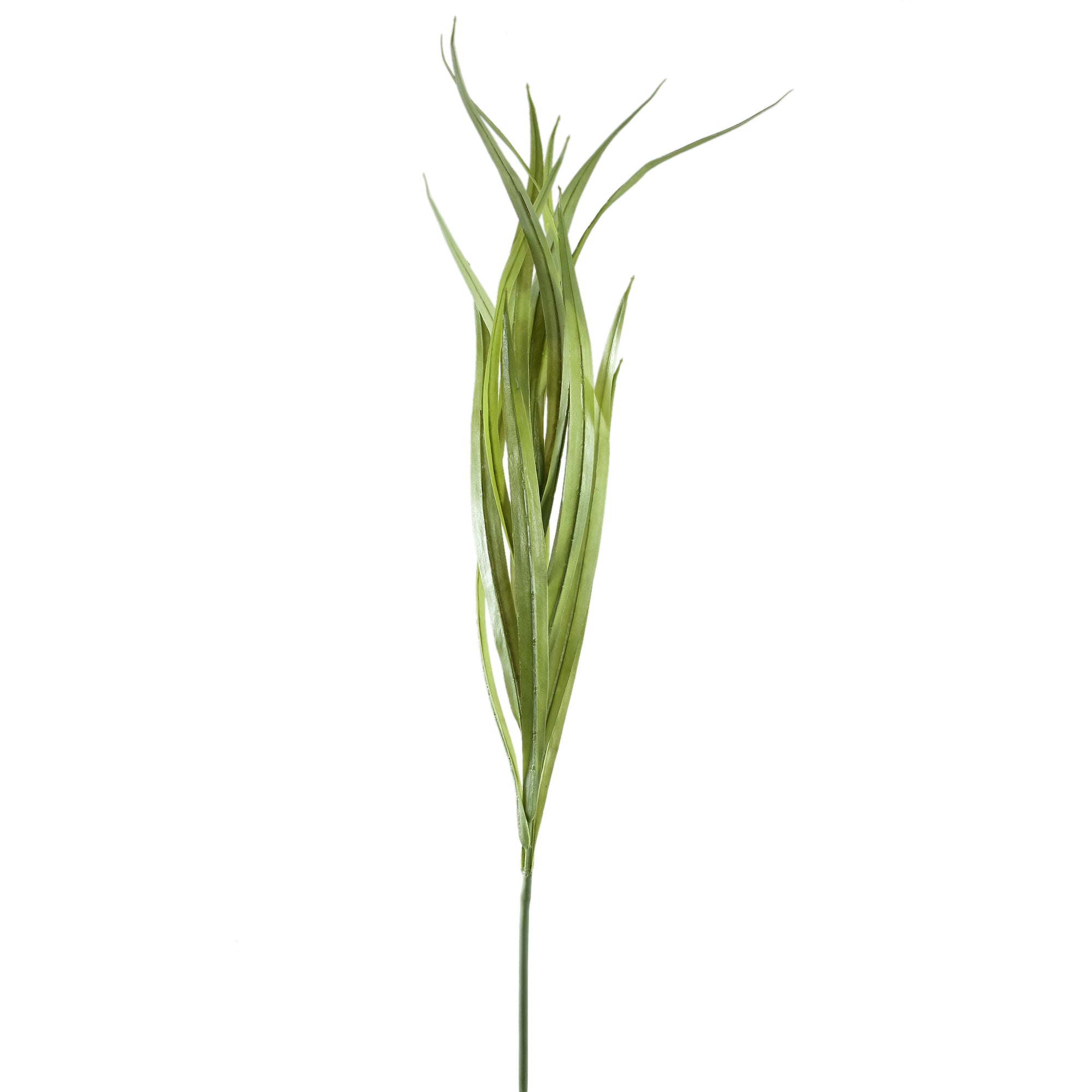 Leaves Plant Green yucca spray Vert — Feuille artificielle — Feuille artificielle design premium | Häus