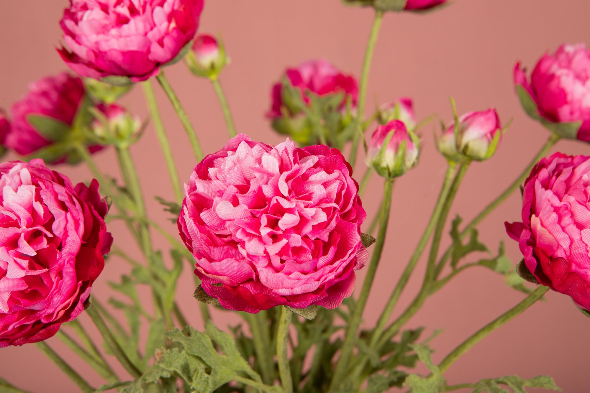 Ranonkel Flower Dark Pink spray w bud and leaves Rose — Fleur artificielle — vue 3 | Häus