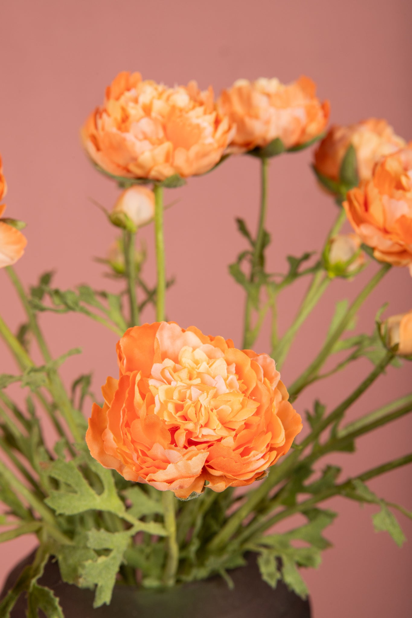Ranonkel Flower Orange spray with bud and leaves Orange — Fleur artificielle — vue 3 | Häus