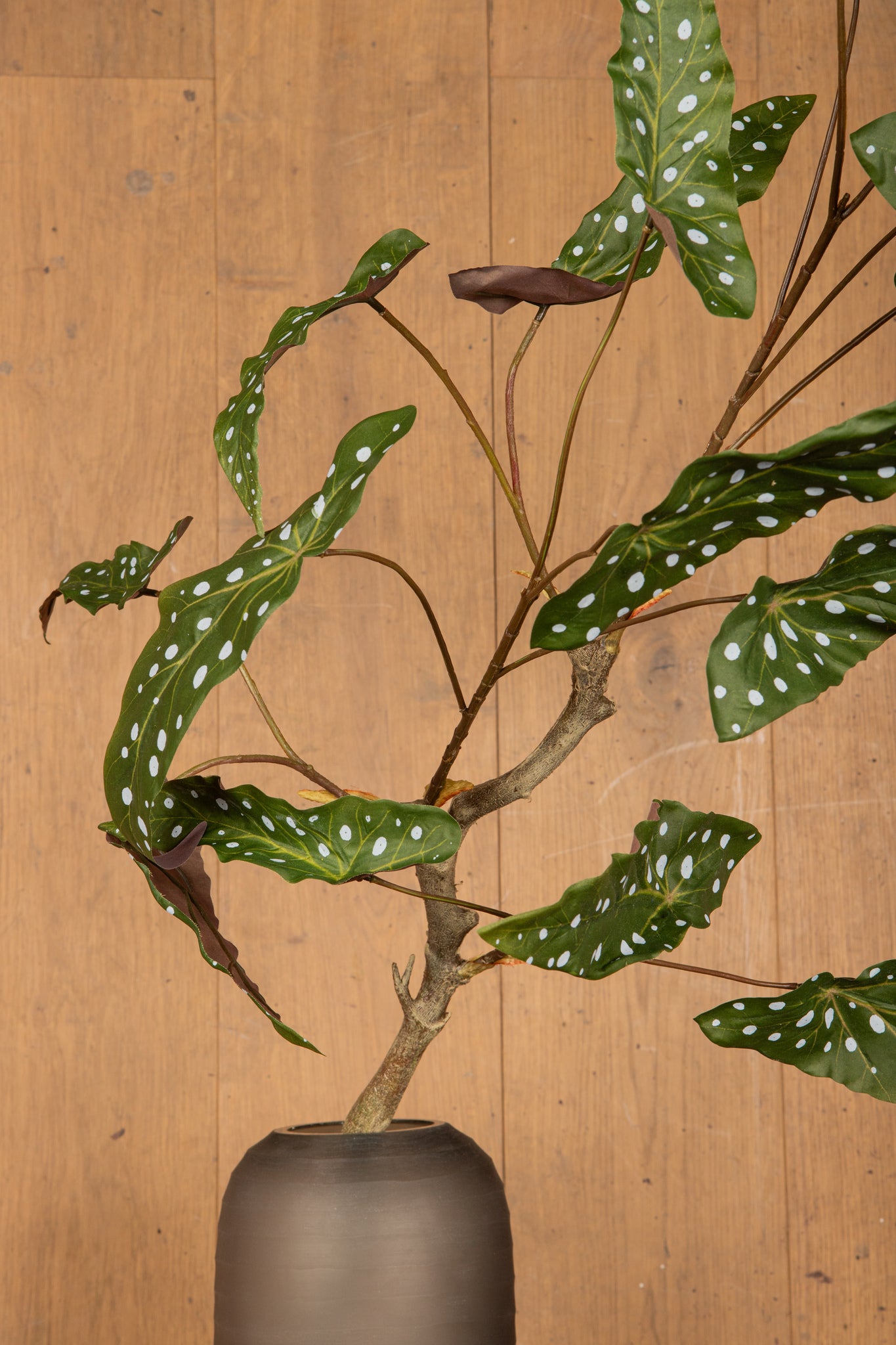 Leaves Plant Green begonia leaves bush Vert — Feuille artificielle — vue 3 | Häus