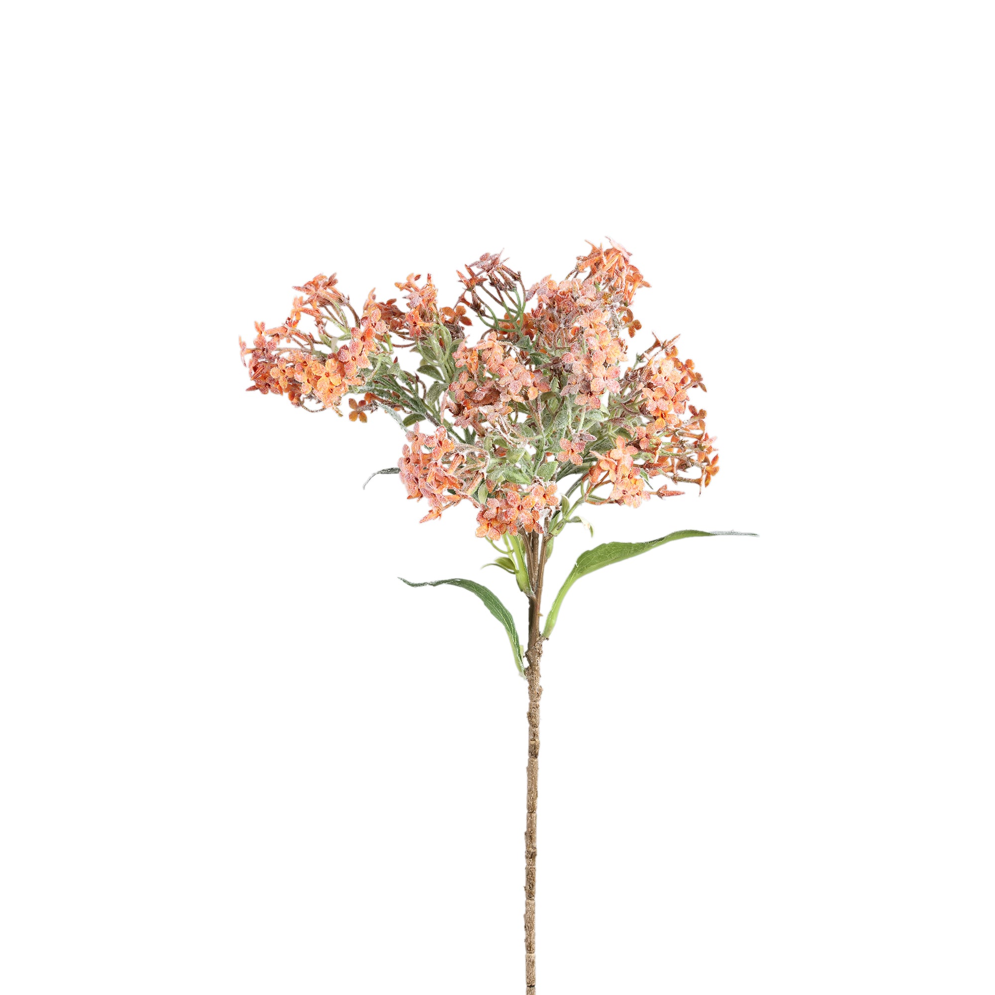 Dried Twig Orange little flower spray with leaves Orange — Branche artificielle — Branche artificielle design premium | Häus