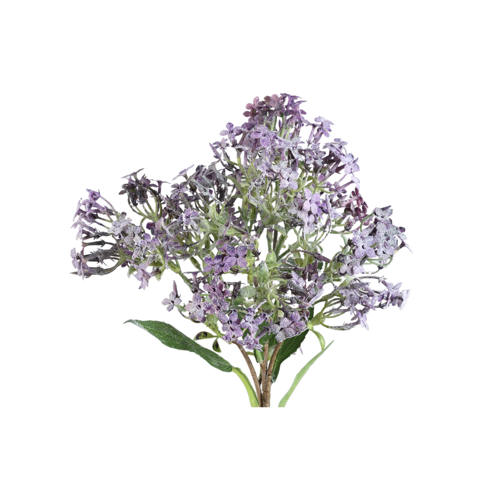 Dried Twig Purple little flower spray with leaves Violet — Branche artificielle — vue 2 | Häus