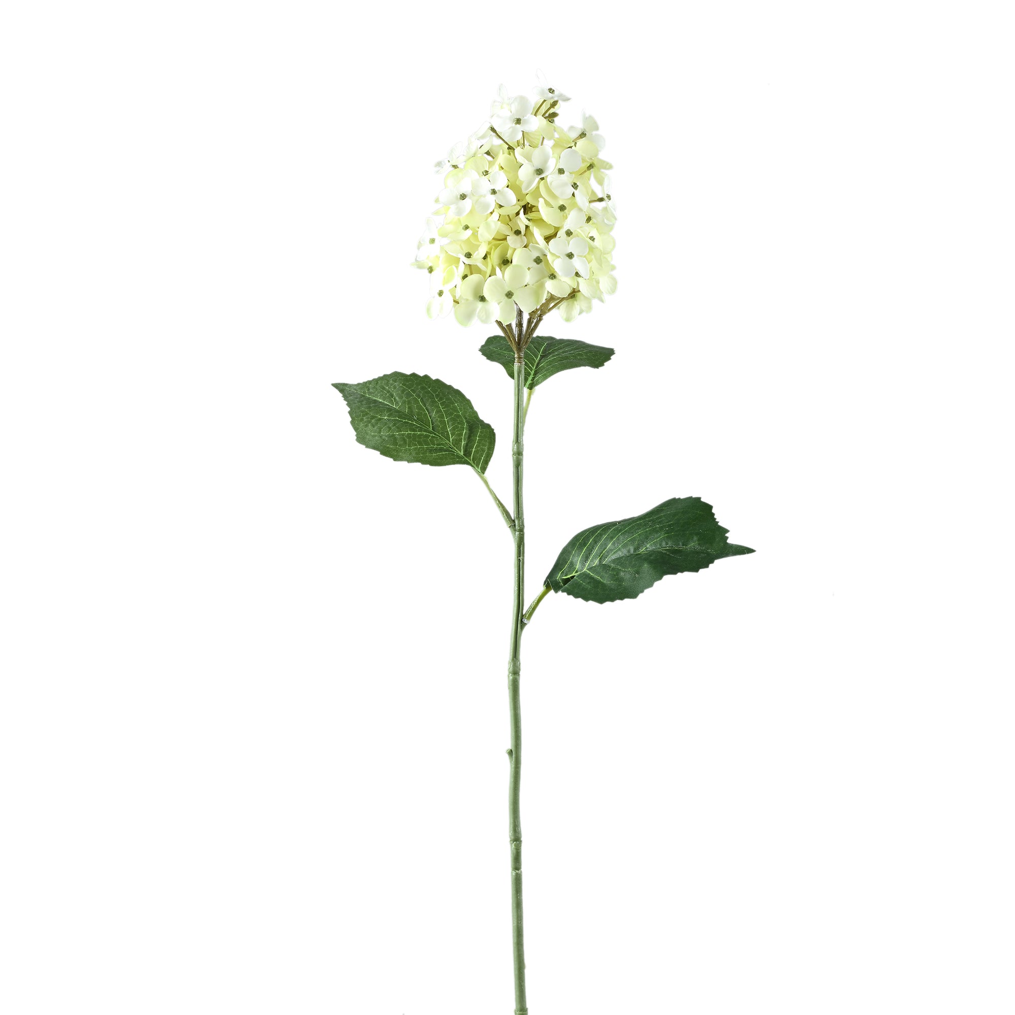 Hydrangea Flower Green hydrangea Vert — Fleur artificielle — Fleur artificielle design premium | Häus