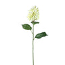 Hydrangea Flower Green hydrangea Vert — Fleur artificielle — Fleur artificielle design premium | Häus