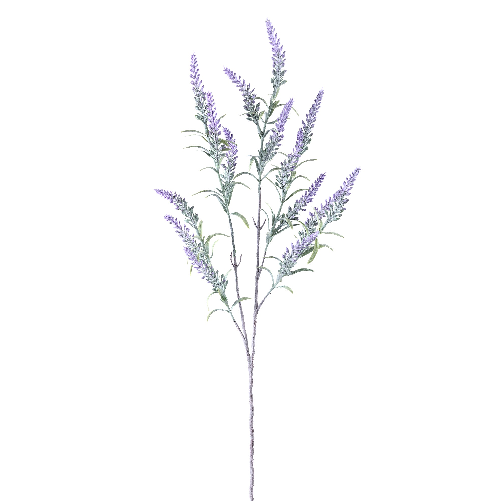Leaves Plant Purple lavender spray Violet — Feuille artificielle — Feuille artificielle design premium | Häus