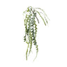 Succulent Plant Green epiphyllum hanging spray Vert — Feuille artificielle — Feuille artificielle design premium | Häus