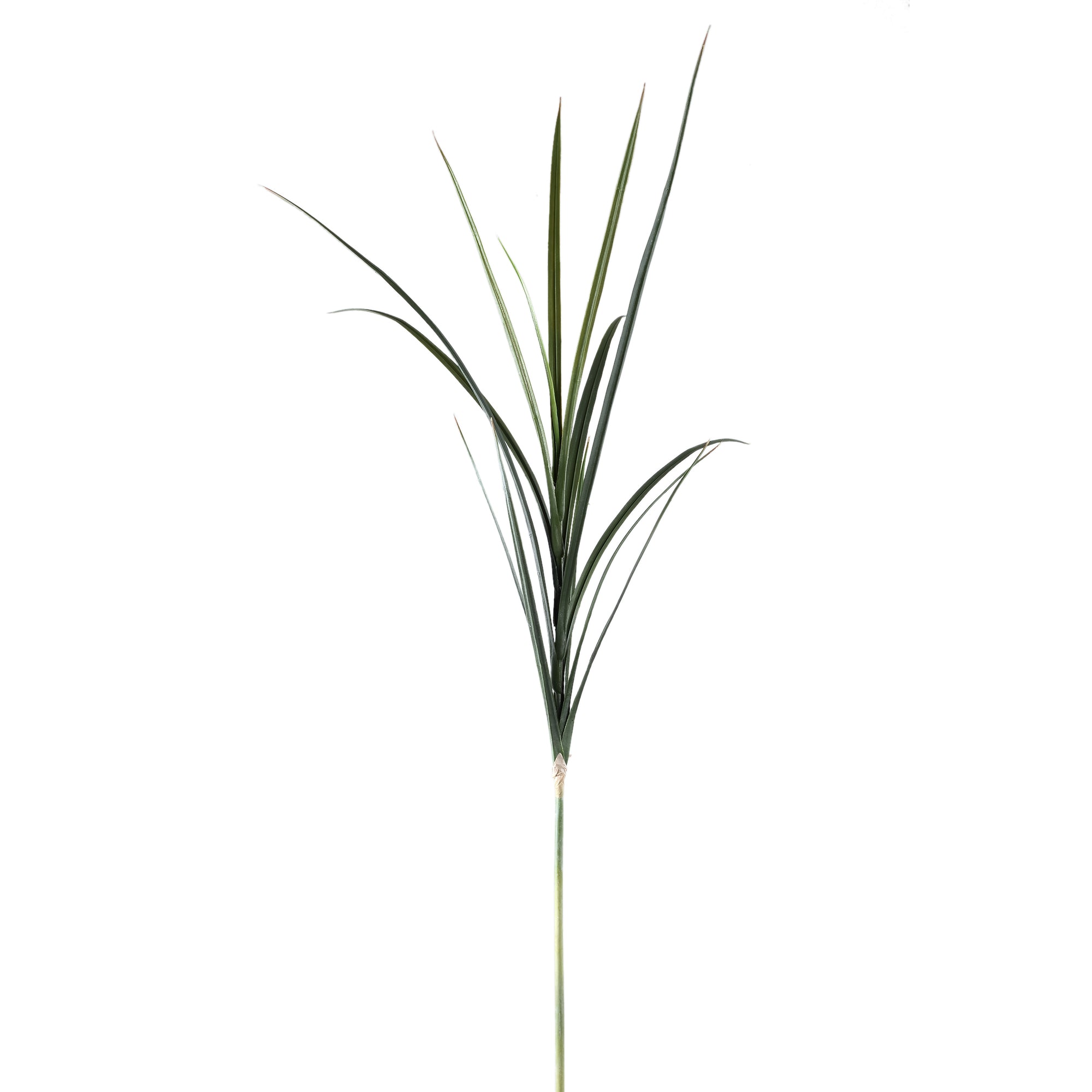 Leaves Plant Green grass spray Vert — Feuille artificielle — Feuille artificielle design premium | Häus