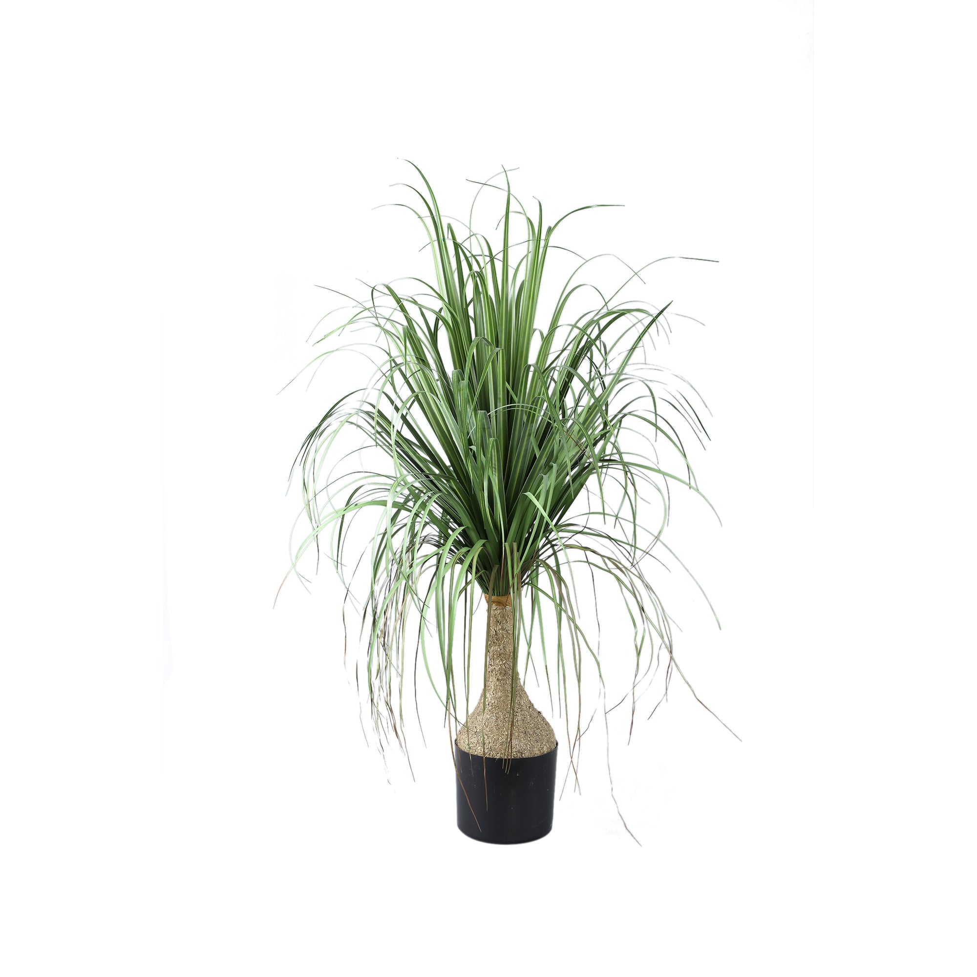 Leaves Plant Green onion grass on coconut tree A Vert — Plante artificielle — Plante artificielle design premium | Häus